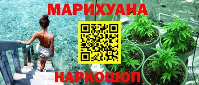 тгк Бердск