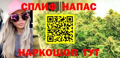 тгк Бердск