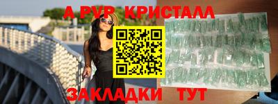 тгк Бердск