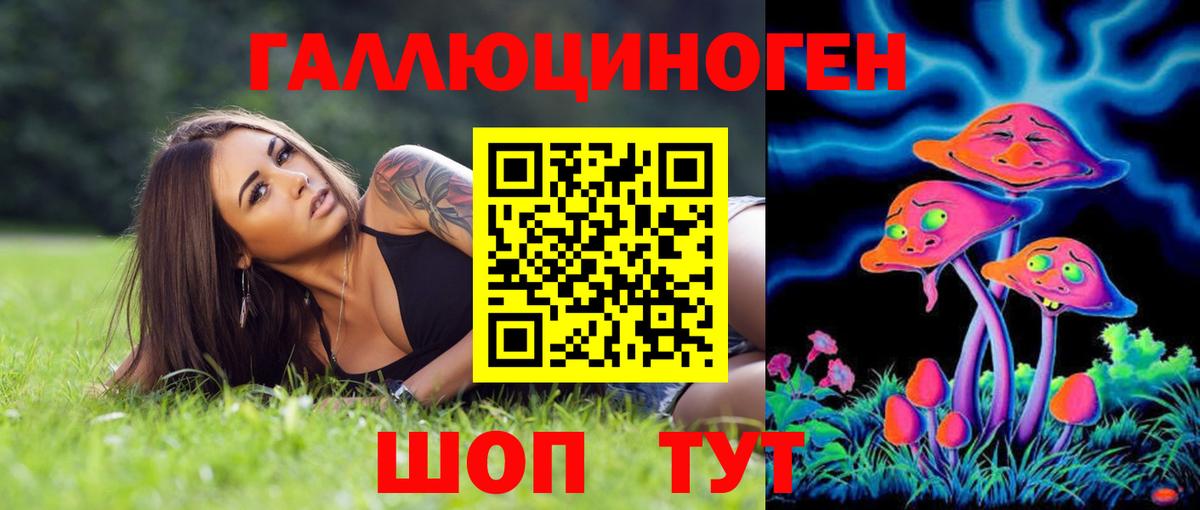 Куйбышев  Псилоцибиновые грибы ЛСД  Вход с VPN  Галлюциногенные грибы прущие грибы 